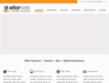Tablet Screenshot of eforweb.net